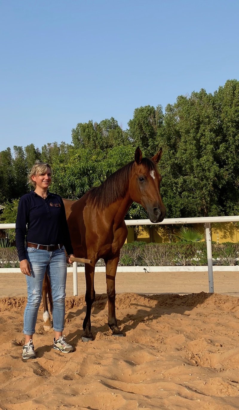 What is embodiment? How can horse coaching help you reconnect to your body?
